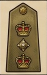 Colonel