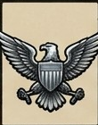 Colonel