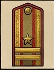 Mayor